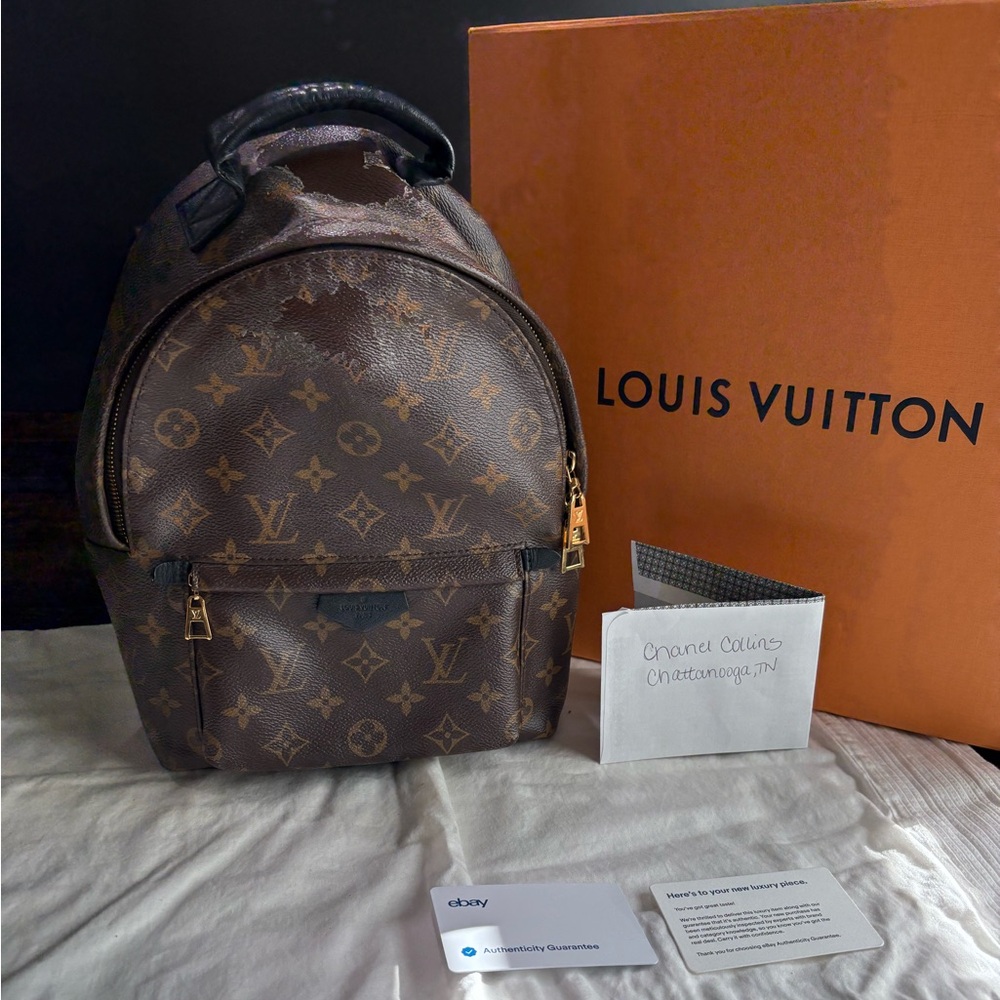 Louis Vuitton Palms Spring Mini Pm - image 1